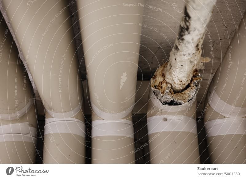 Heating pipes, insulation and bare heating pipe with damage defective turn off gas heating Warmth Expensive inflation heating costs Heater Winter Cold