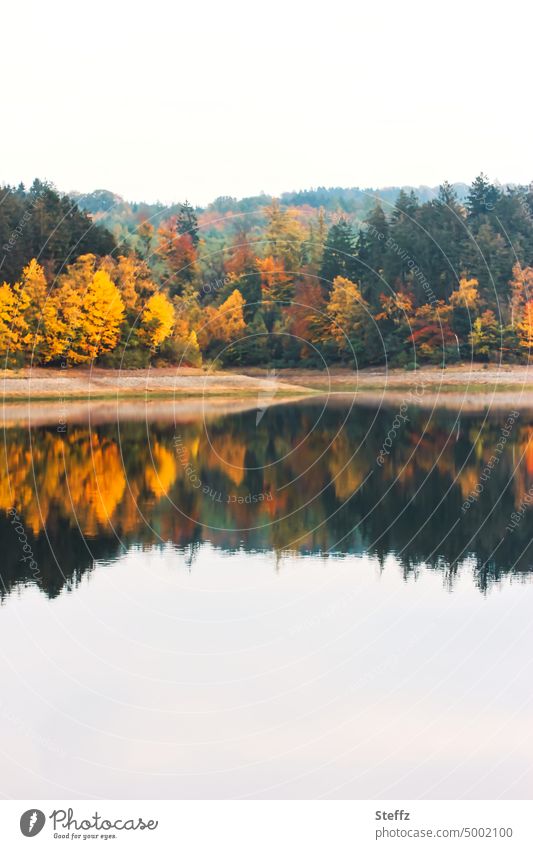 Autumn landscape by the lake Autumnal landscape Autumnal colours autumn colours Automn wood Lakeside bank autumn impression reflection Water reflection