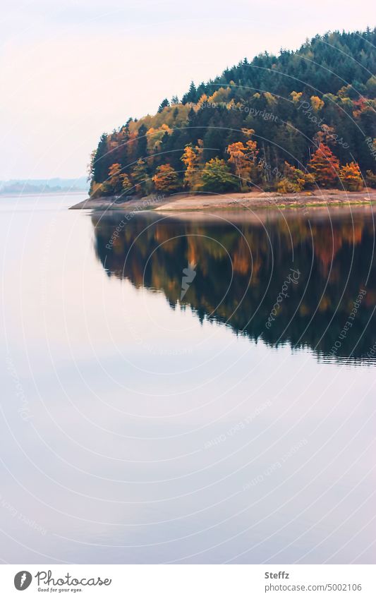 autumn calm on the lake autumnal peace Autumnal landscape Lake tranquillity Calm Peaceful Relaxation Water reflection autumn colours October october weather