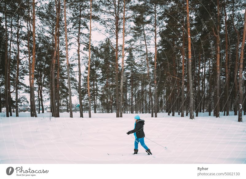 Active Adult Caucasian Woman Have Fun Are Skiing In Winter Snowy Forest. Active Healthy Lifestyle On Winter Nature active adult caucasian cold coniferous forest