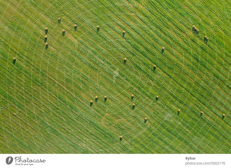 Aerial View of Summer Field Landscape With With Dry Hay Bales During Harvest. Trails Lines on Farmland. Top View Agricultural Landscape. Drone View. Bird's Eye View