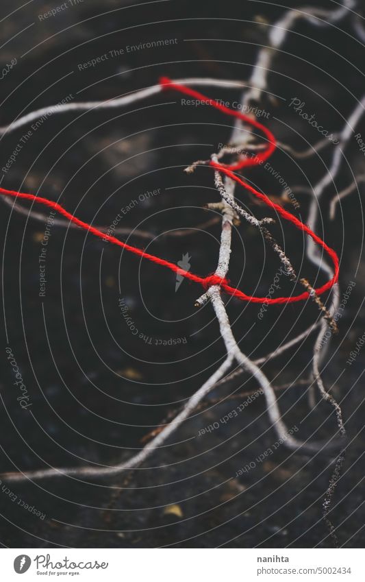 Red thread tangled in a dry branch red creepy thriller background dark darkness mystery clue mysterious black white detail close close up nature natural road