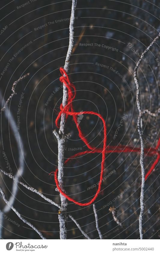 Red thread tangled in a dry branch red creepy thriller background dark darkness mystery clue mysterious black white detail close close up nature natural road