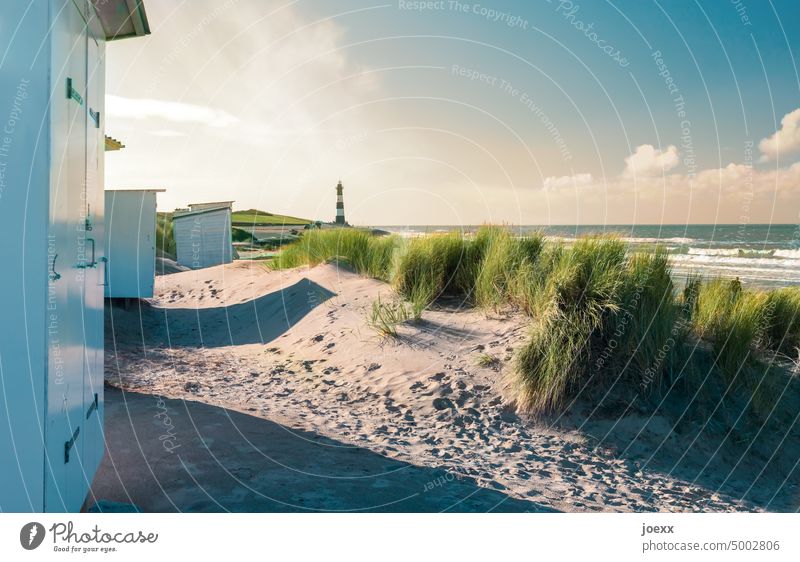 White beach huts on a dune with green dune grass, a lighthouse in the background Landscape Nature Sky Colour photo duene Dune grass Sand Hut Ocean Lighthouse