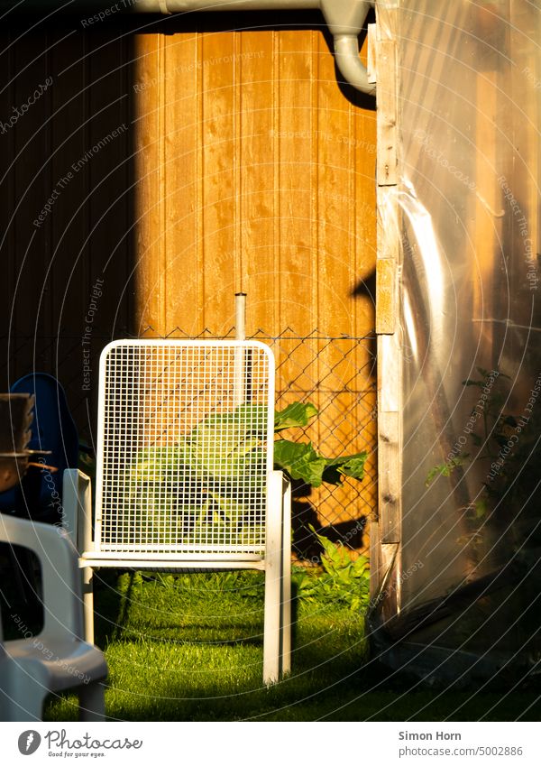 Sun in the backyard sunny place Backyard Shadow play light-dark Contrast Wooden wall Garden Bright spot Light Sunlight Structures and shapes Grating Pattern