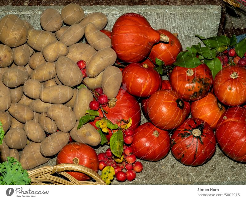 Potatoes and pumpkins Nutrition Thanksgiving Agriculture Autumn Pumpkin Food Harvest Decoration Hallowe'en Fresh extension Mature Healthy store Organic Nature