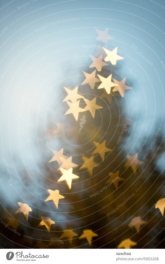 blurred light stars asterisk clearer light points fir tree bokeh Abstract blurriness hazy Christmas & Advent Festive defocused Christmas decoration sparkle