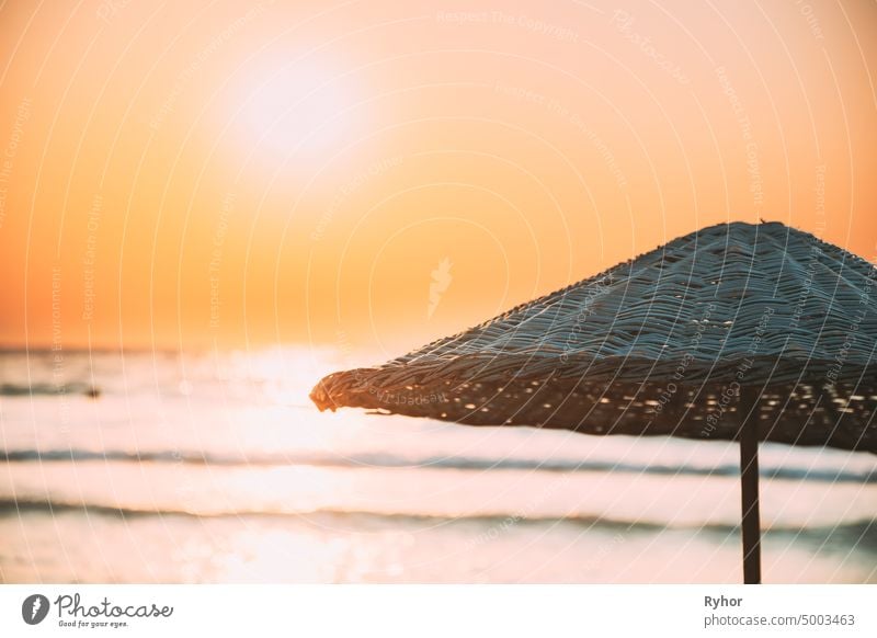 Close Up Umbrella On Sandy Beach. Sun Sunshine Above Wicker Umbrella At Summer Sunrise Sunset Dry beach beautiful close coast copy space exotic heat holiday