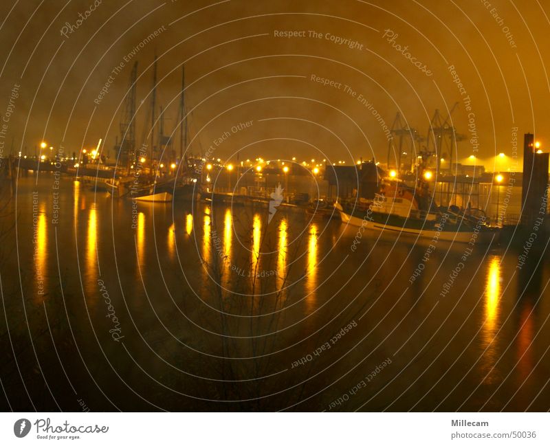 foggy habor Fog Night Lighting Watercraft Harbour Hamburg