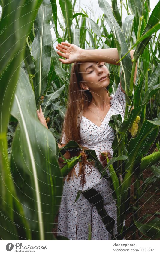 beautiful long haired woman with green leaves in a corn field on a sunny day nature beauty face skin pure natural portrait model tropical smile healthy plant