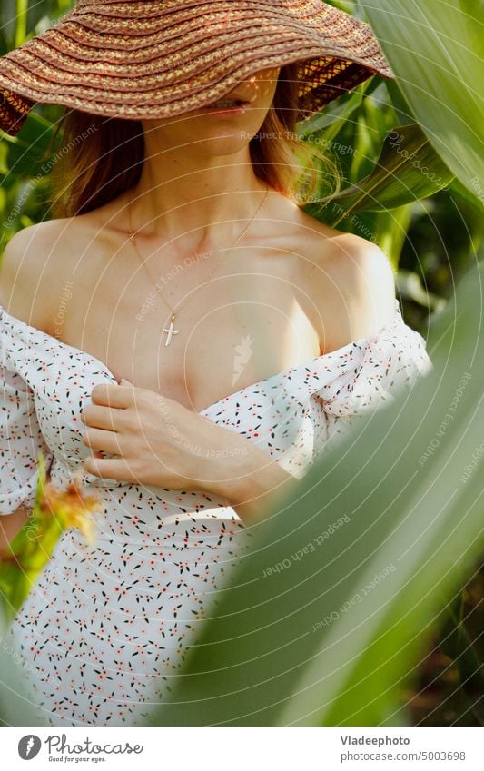 Sensual woman portrait in corn leaves. Face covered with hat, summer dress with plunging neckline sensual young green beautiful natural stylish face leaf