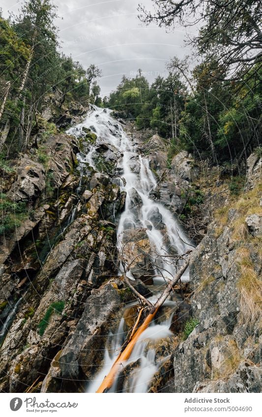 Waterfall in forest in rocky mountains waterfall flow landscape stream scenery wild woods nature stone pyrenees lleida catalonia spain power energy splash