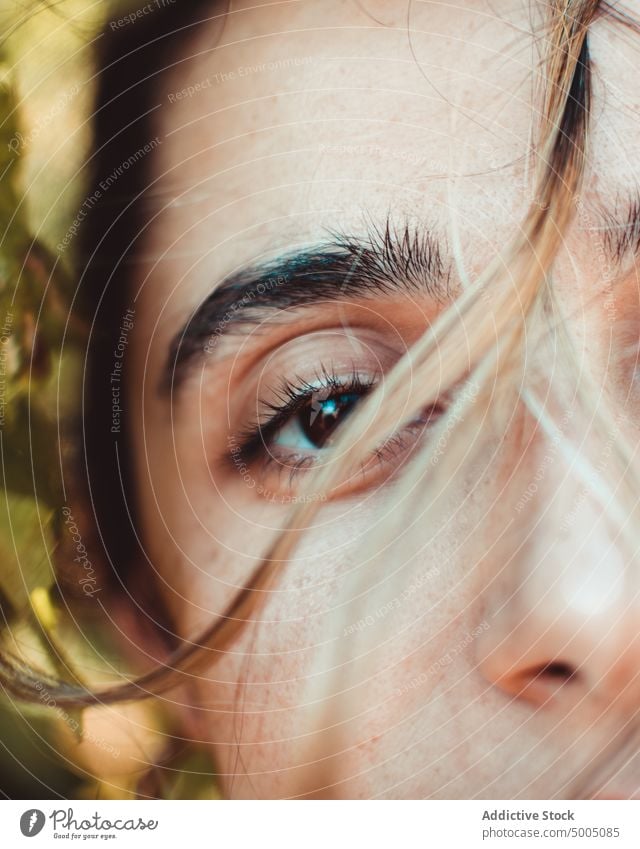 Woman with brown eyes looking at camera woman appearance portrait nature leaf natural color detail beauty female complexion hair gentle gaze harmony tranquil