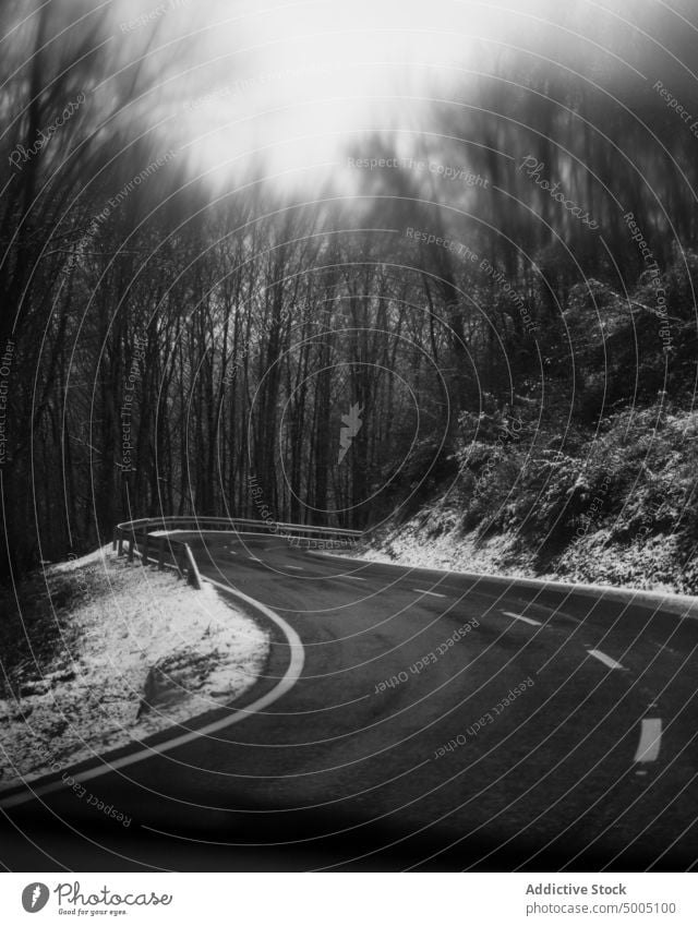 Asphalt road between leafless trees in winter forest windshield road trip way roadway asphalt route countryside car gloomy path narrow nature snow windscreen