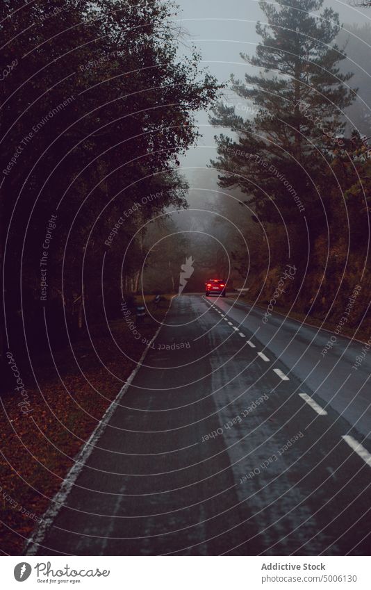 Close-up of a car alone on a road surrounded by trees and mountains forest nature landscape travel background outdoor beautiful woods countryside night danger