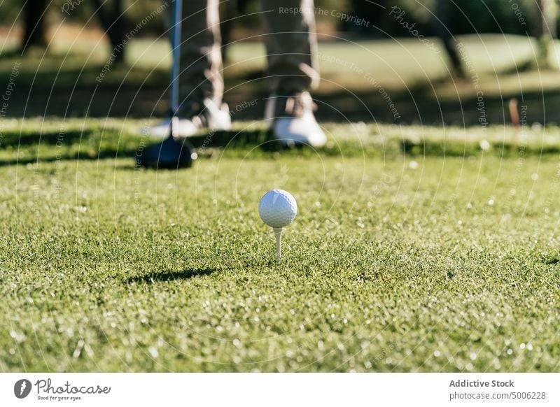 Golf ball in green field with shadow golf sport natural club and ball greenery equipment countryside landscape environment minimal uneven small size shade