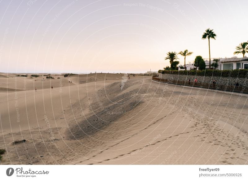 Dunes full of tourists on the Maspalomas beach in Gran Canaria dune dunes sand desert sea maspalomas canary islands copy space nobody ecology tropical european