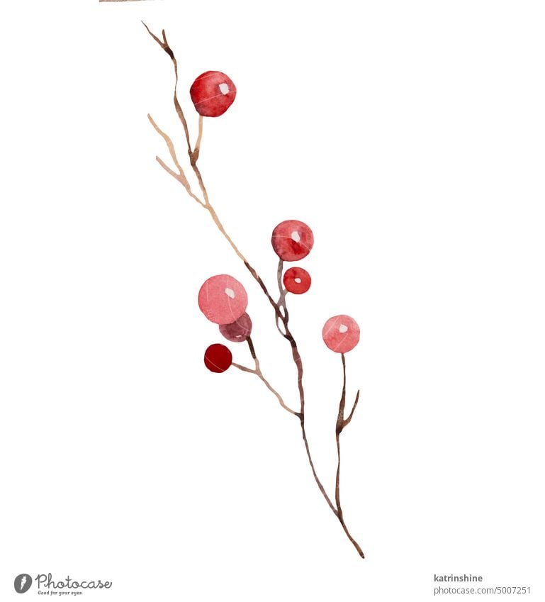 Christmas watercolor twig with red berries isolated Illustration. Hand drawn winter party design Decoration Drawing Element Holiday Isolated Mistletoe Ornament