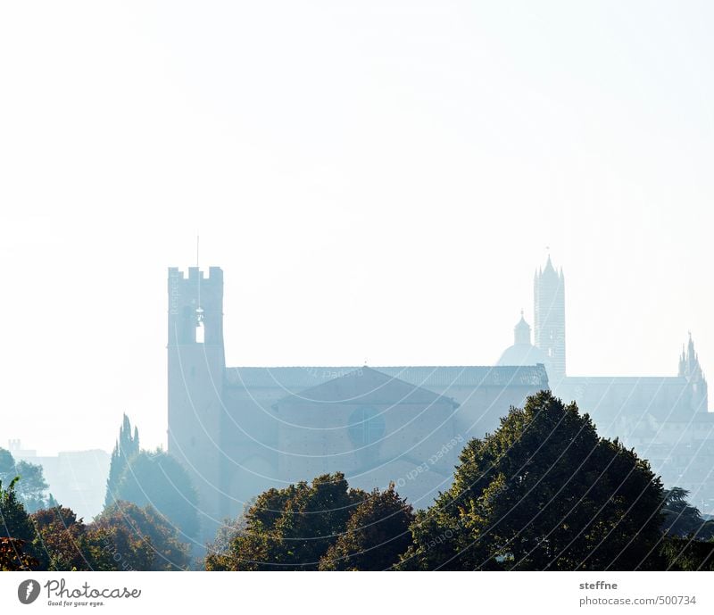 Church: Siena Cloudless sky Autumn Fog Tree Tuscany Italy Skyline Dome Exceptional Religion and faith Colour photo Deserted Copy Space top Dawn