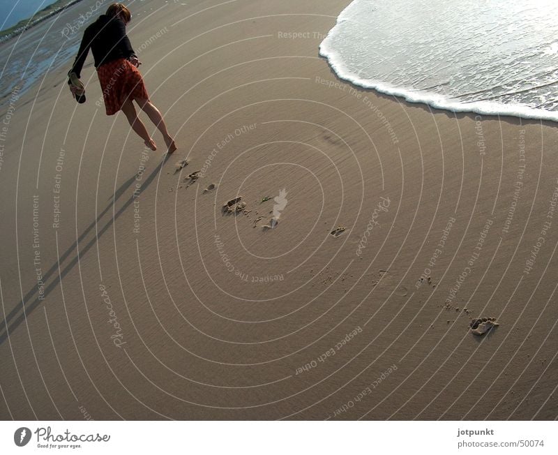 sandpiper Beach Ocean Waves Footprint Water Shadow Tracks Sand Barefoot