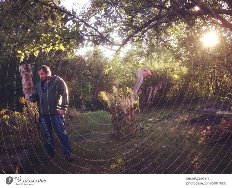 Something's up! Garden Garden plot Man Take a photo Camera Photographer Sunset romantic Wild proliferate Virgin forest Photography Human being