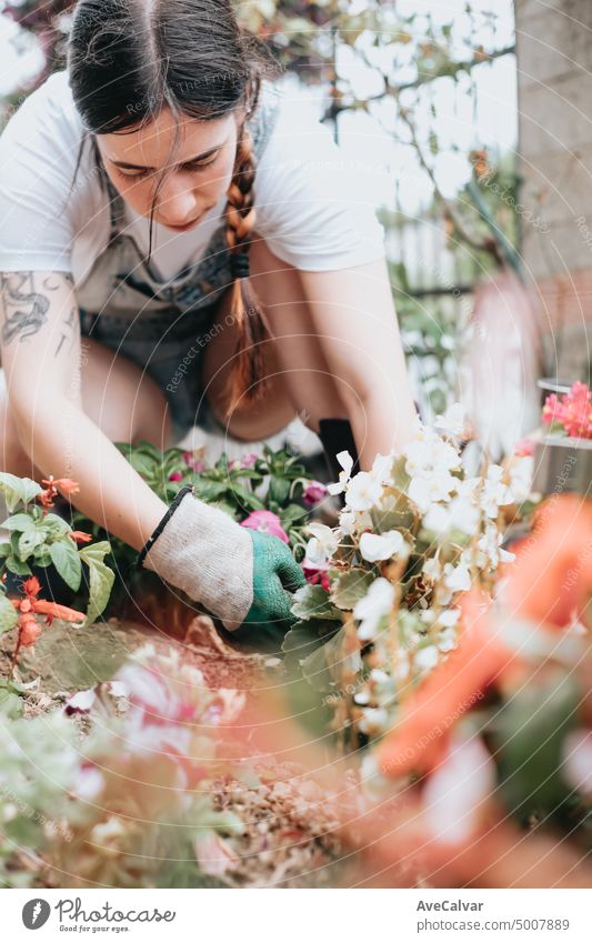 Young woman working planting and transplant flowers in garden .Concept of plant care, home gardening. Young woman florist taking care of pot plants person hobby