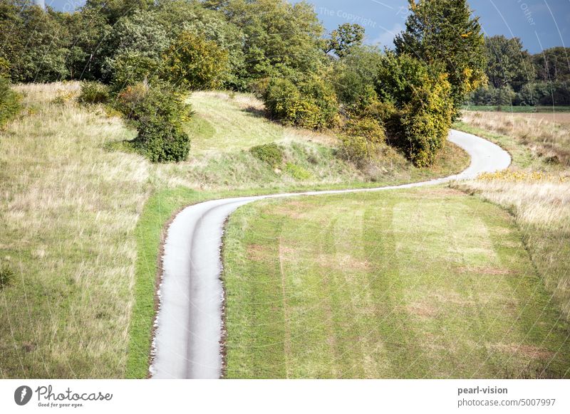 Quo vadis? Exterior shot Colour photo Street Question mark Oil stains Gray Green Asphalt Grass Lawn Environment Lanes & trails Nature Landscape Structure.