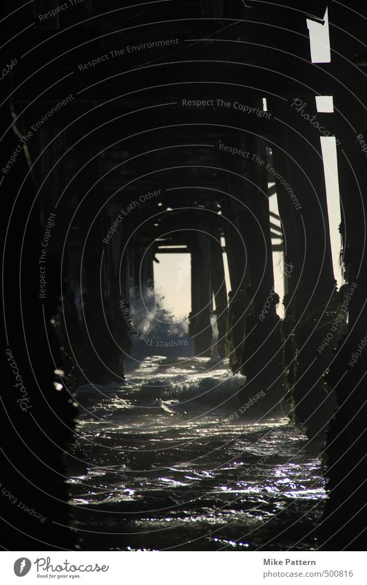 Mission Bay Pier Nature Water Summer Beautiful weather Waves Beach Dark Wet Life Colour photo Exterior shot Deserted Twilight Shadow Sunbeam