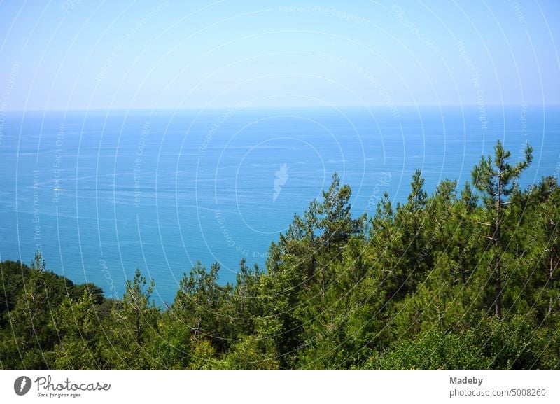 View from the terrace of a country house on the Black Sea in summer under blue sky in the sunshine in Inkumu on the Black Sea coast in Bartin province in Turkey