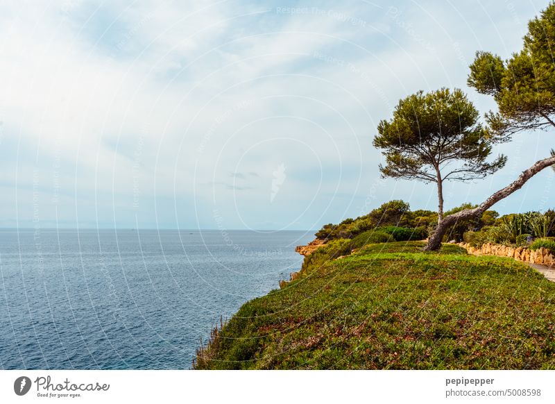 Cliff in Mallorca Majorca Ocean Water coast Rock Landscape Vacation & Travel Deserted Spain Exterior shot Nature Vantage point Tourism Sky Trip Island Freedom