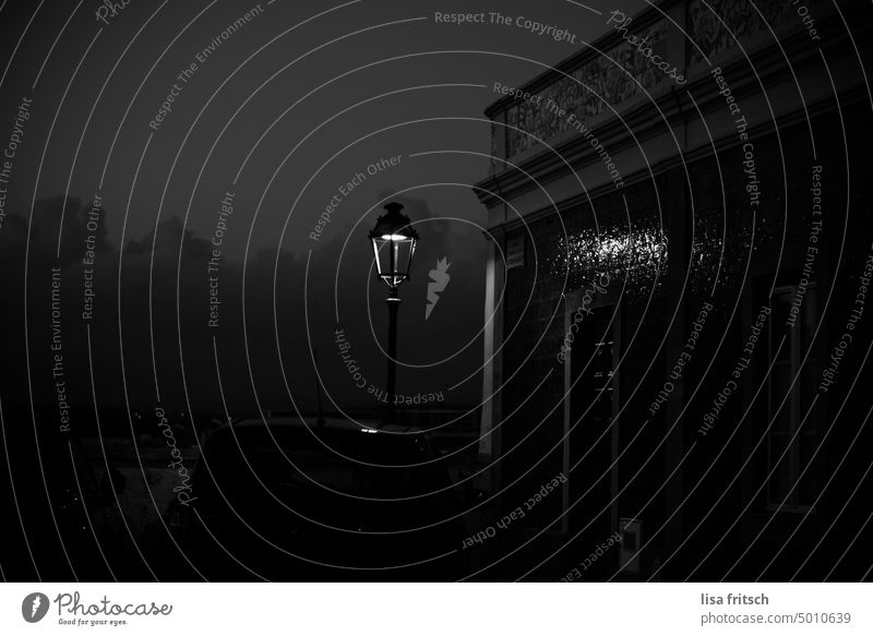 DUST - STREET LAMP Night Dark somber streetlamp Street lighting Black & white photo Creepy