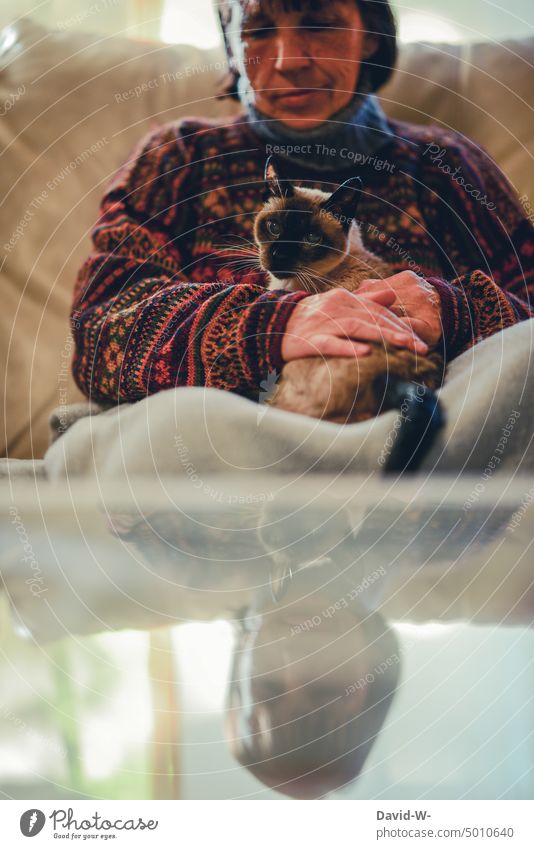 freezing woman with wool blanket and cat on the sofa of her apartment Wool blanket Freeze Flat (apartment) Woman Cat heating costs Cold Winter at home Blanket