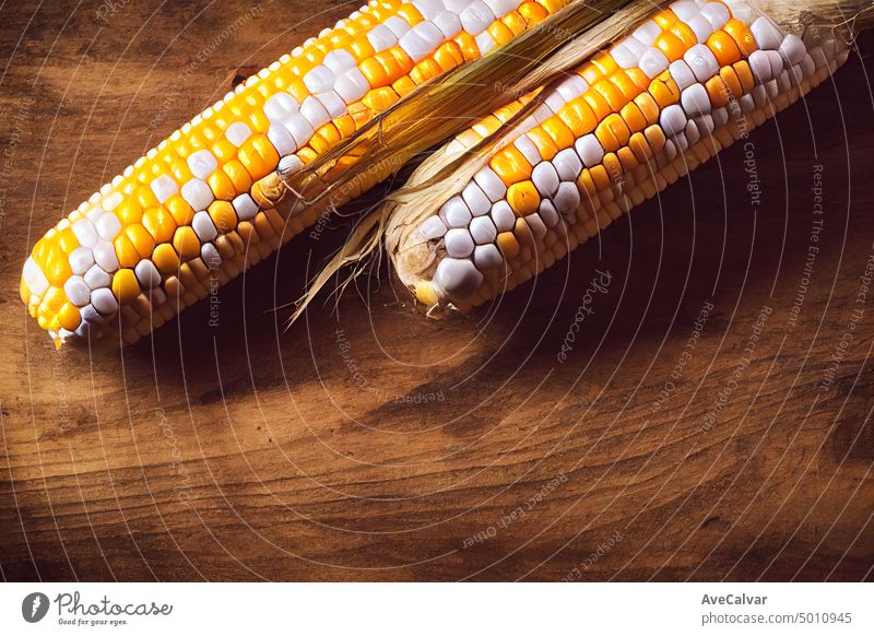 Minimal backdrop of rustic wooden board, corn and pine and pumpkin on the bottom part thanksgiving vegetable halloween harvest seasonal vintage greeting mix