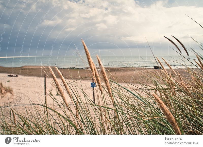 Quiet memories Plant Sand Water Clouds Bad weather Grass Marram grass Coast Beach Bay North Sea Ocean Dark Fresh Calm Borkum East Frisland East frisian island