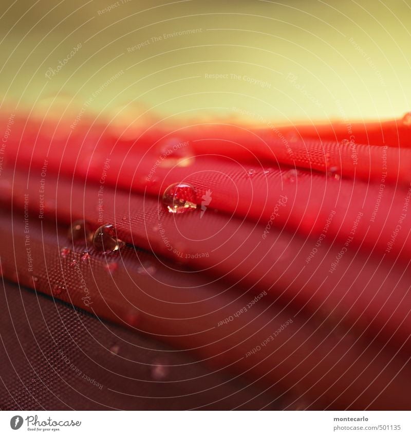 UmBRelLA Umbrella Plastic Drop Thin Authentic Small Wet Red Colour photo Multicoloured Interior shot Close-up Detail Macro (Extreme close-up) Deserted