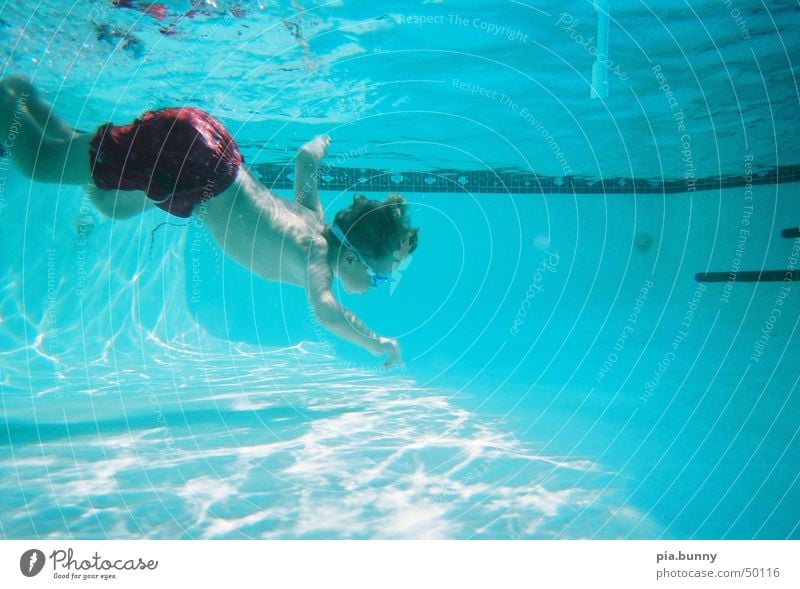 David underwater Dive Florida Swimming pool Summer Boy (child) Swimming & Bathing Water