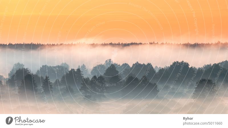 Misty Landscape. Scenic View. Morning Sky Over Misty Forest. Nature Of Europe In Middle Summer horizon sunrise landscape misty nobody eastern europe sunny