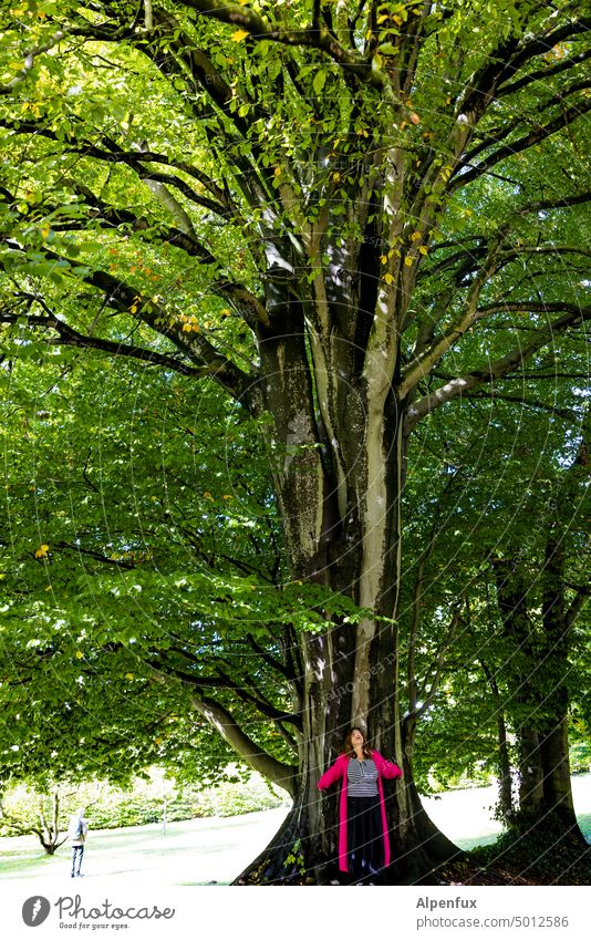 -larger-older-greener- | NordARTer Tree Green Large ratio Woman Nature Exterior shot big tree Tree trunk Colour photo Day Summer Growth Sunlight Perspective