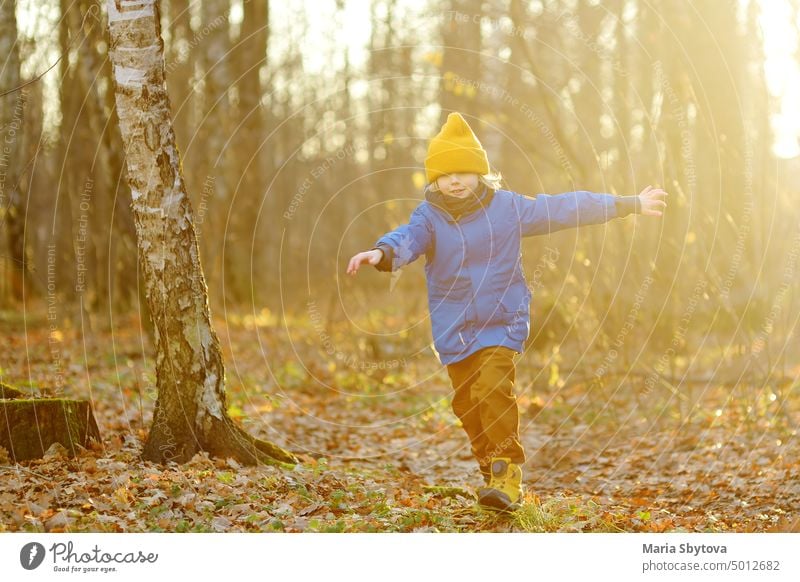 Cheerful child during walk in the forest on a sunny autumn day. Preschooler boy is having fun while walking through the autumn forest. Family time on nature.