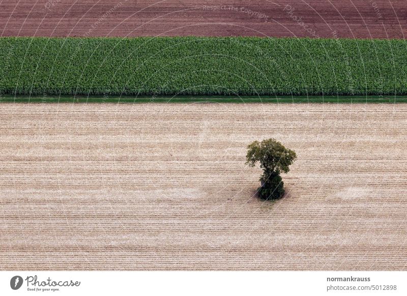 Bird's eye view of fields acre Landscape Manmade landscape Overflight demarcation Bird's-eye view Abstract palatinate southern Palatinate Agriculture