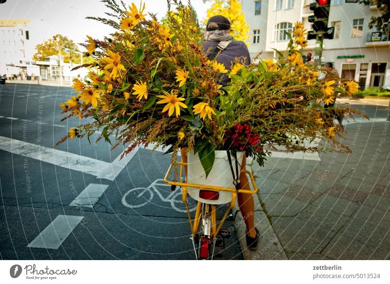 Flowers again Delivery flowers flower trade Florist bouquet Bicycle Cycle path luggage carrier delivery logistics Wheel bicyclist forwarding Town bouquets