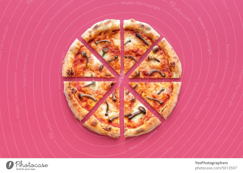 Sliced pizza top view on a magenta background. Wild mushrooms pizza above baked carbs cheese color cooked crust cuisine delicious dinner dough edible fast food