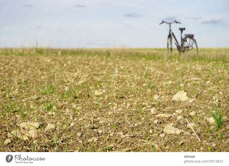 autumn field rich in stones with risen seed and a ladies bicycle on the dirt road in the background acre Field Autumn sowing New sowing Bicycle Ladies' bicycle