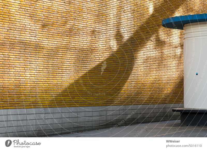 Light and shadow on a yellow tiled wall Street Facade House (Residential Structure) Wall (building) Sun Shadow shape Mill tiles Yellow sunny Pattern structure