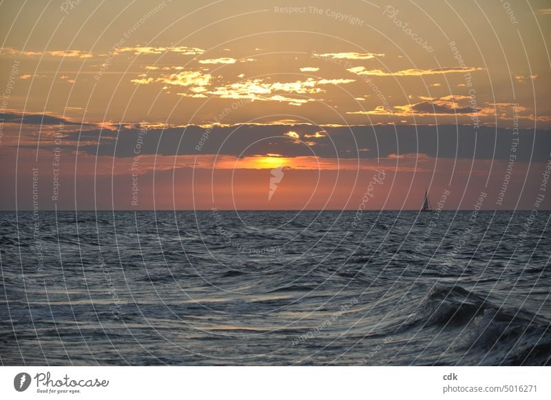 Sunset with sailing ship | dreamy evening atmosphere at the Baltic Sea Ocean Water Summer Vacation & Travel Sky Waves Relaxation Nature coast Sand Baltic coast