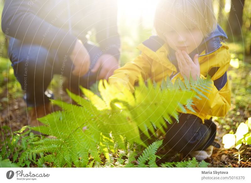 School boy and his father hiking together and exploring nature with magnifying glass. Little boy and dad spend quality family time in sunny forest of second summer. Daddy and little son