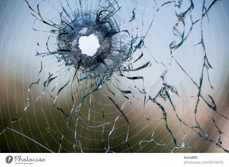 bullet hole in cracked window glass abstract accident background broken broken glass broken window bullet hit closeup color crash crime damage danger deadly