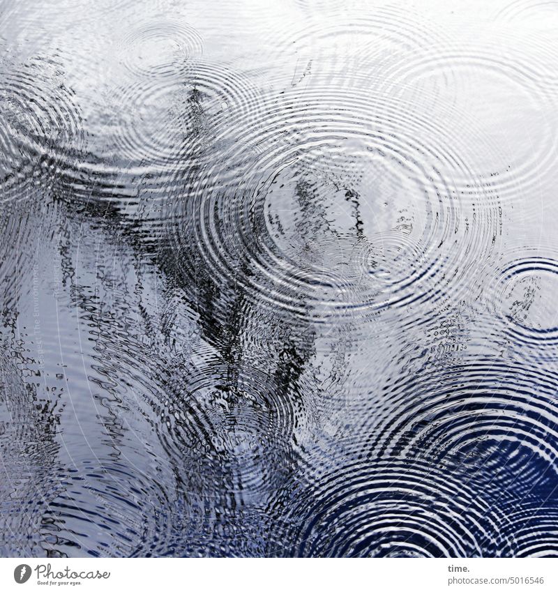 NordARTer | Circle Dance Water Waves raindrops circles Surface Reflection Pond Pattern Drop rainy Nature Wet Drops of water Glittering Surface of water