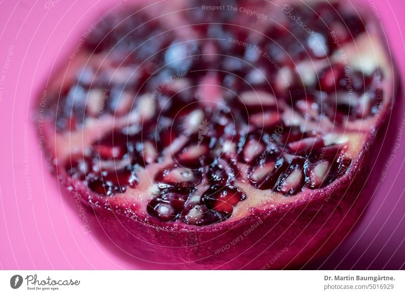 Pomegranate, sliced Sliced halved Sámen Fruit flesh Punica granatum Dish ingredient Eating Close-up shallow depth of field Deserted Red Juicy Vegetarian diet