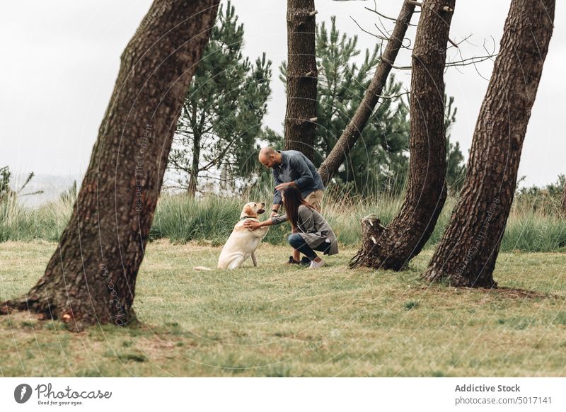 Man and woman playing with dog in the park stick jump game playful fun happy pet nature green animal labrador domestic retriever joyful together friendship